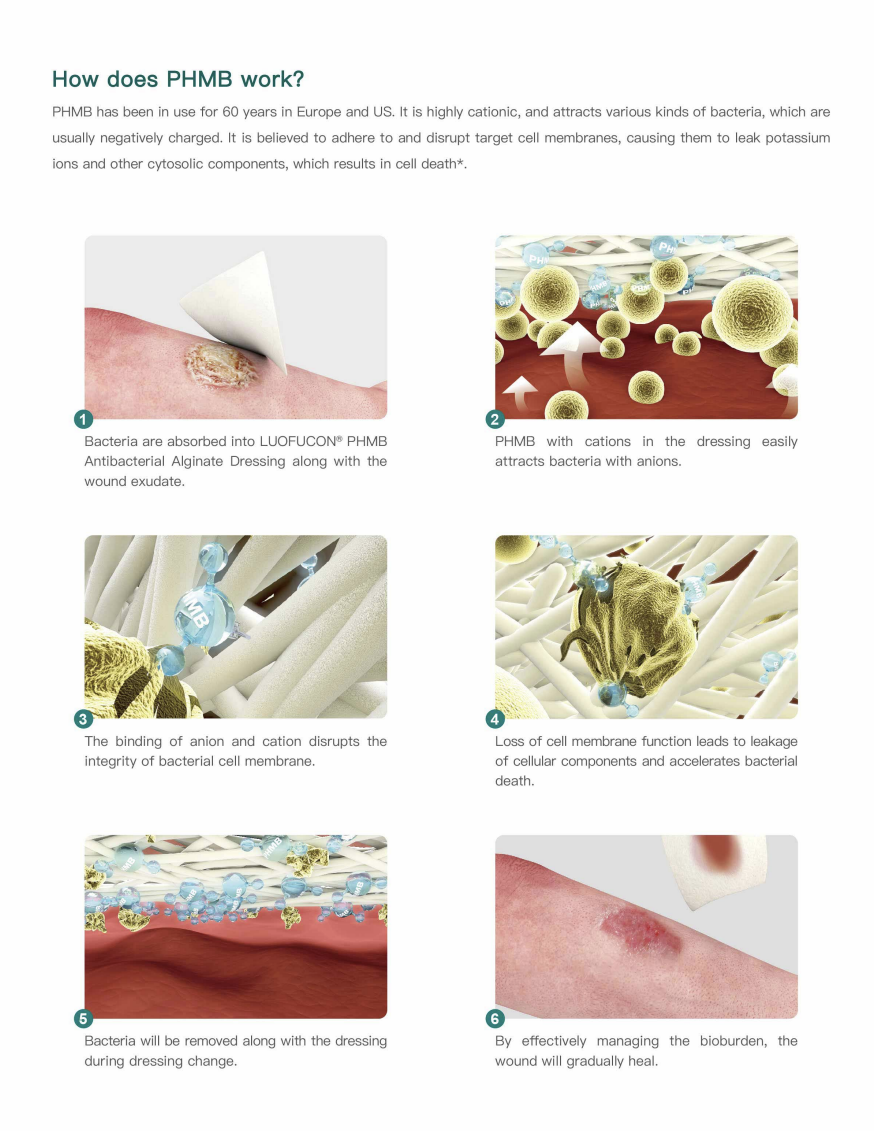 Steriler, antibakterieller PHMB-Alginatverband mit hoher Absorption zur Hämostase